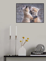 I love you, brother! Poster och Canvastavla