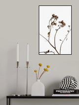 Dried Twig Poster och Canvastavla