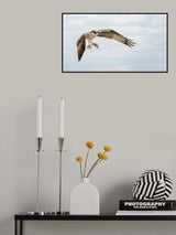 Double Catch Poster och Canvastavla