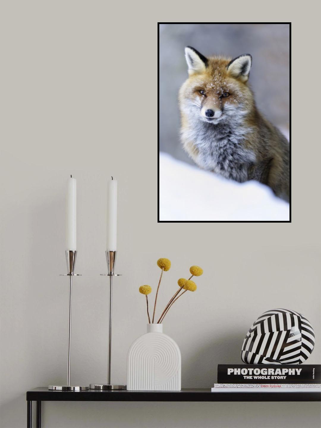 ritratto Poster och Canvastavla