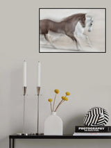 Romance Poster och Canvastavla