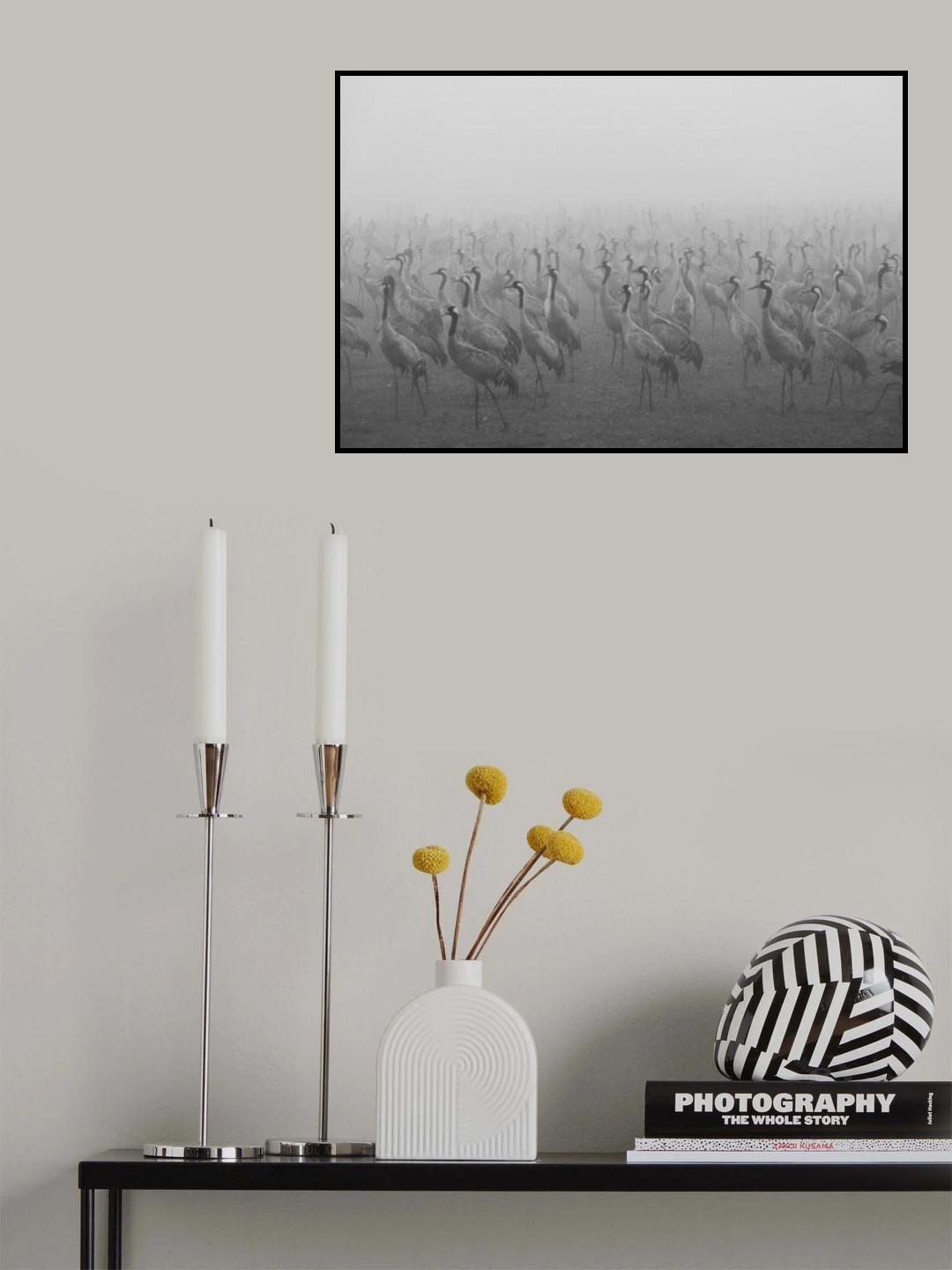 Poster och Canvastavla