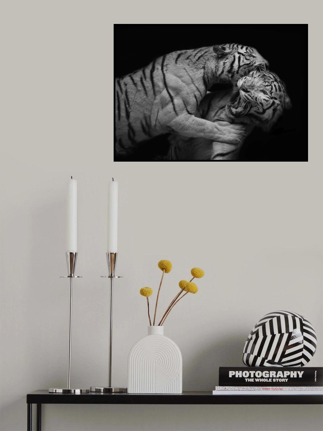 Pounce Poster och Canvastavla
