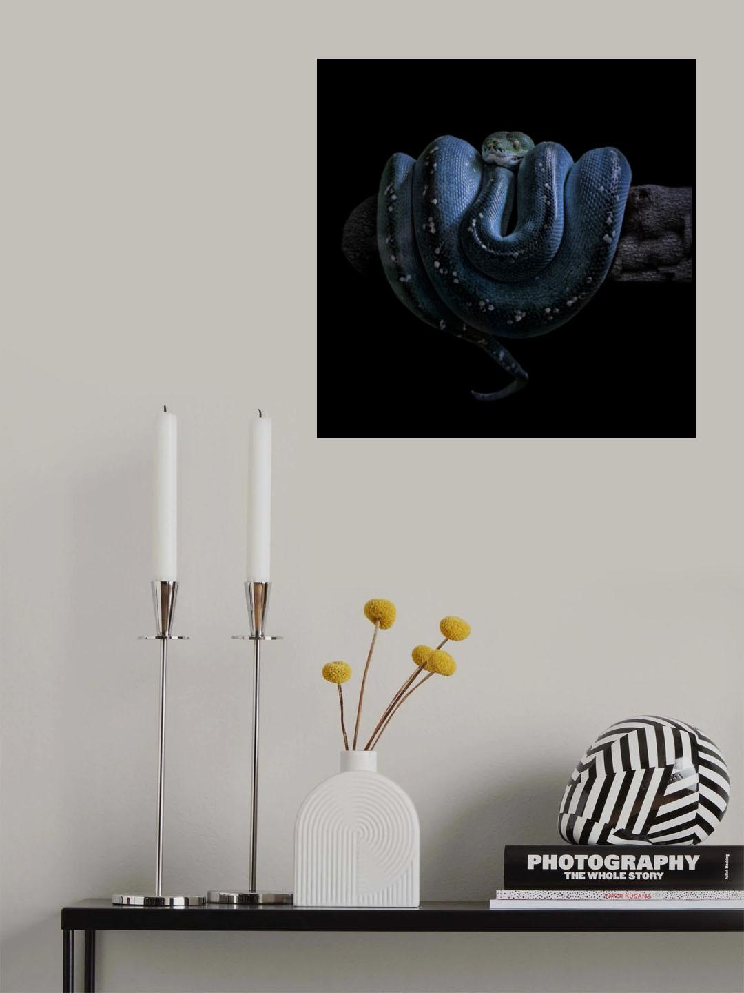 Python Poster och Canvastavla