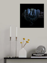 Python Poster och Canvastavla