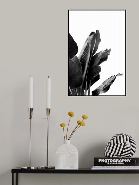 Bird of Paradise Plant Black and White 02 Poster och Canvastavla