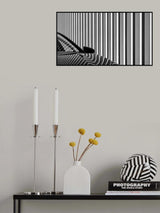 Carport Zebra Poster och Canvastavla