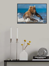 water ride Poster och Canvastavla
