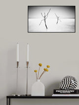 twin Poster och Canvastavla
