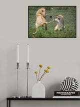 Not all marriages are made in Heaven Poster och Canvastavla