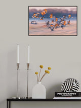 Dream of the south Poster och Canvastavla