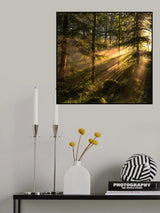Sunrays Poster och Canvastavla