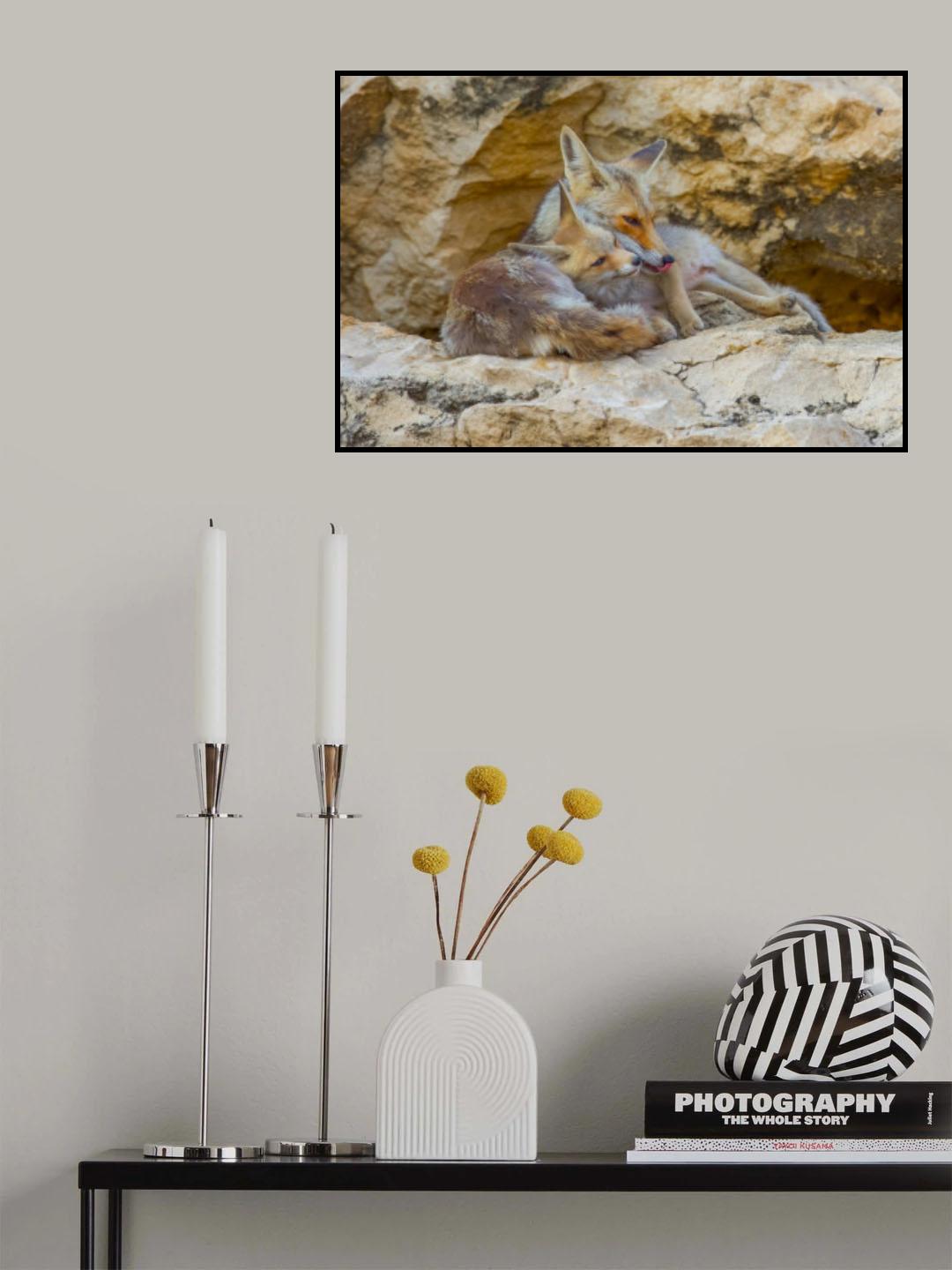 Fox family Poster och Canvastavla
