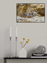 Fox family Poster och Canvastavla