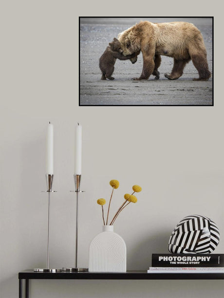 A Little Bear Hug Poster och Canvastavla