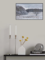 Winter Dream Poster och Canvastavla