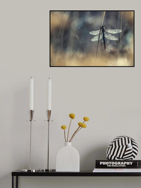 Wings Poster och Canvastavla
