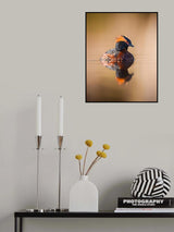 Horned grebe with reflection on a mirror like pond Poster och Canvastavla