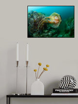 Over the canyon Poster och Canvastavla