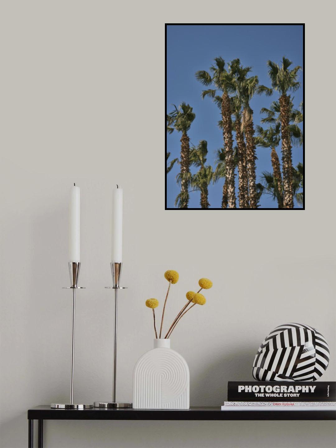 palm trees Poster och Canvastavla
