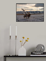 eagle  hunter mongolia Poster och Canvastavla