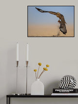 Takeoff Poster och Canvastavla