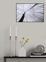After winter sleep Poster och Canvastavla