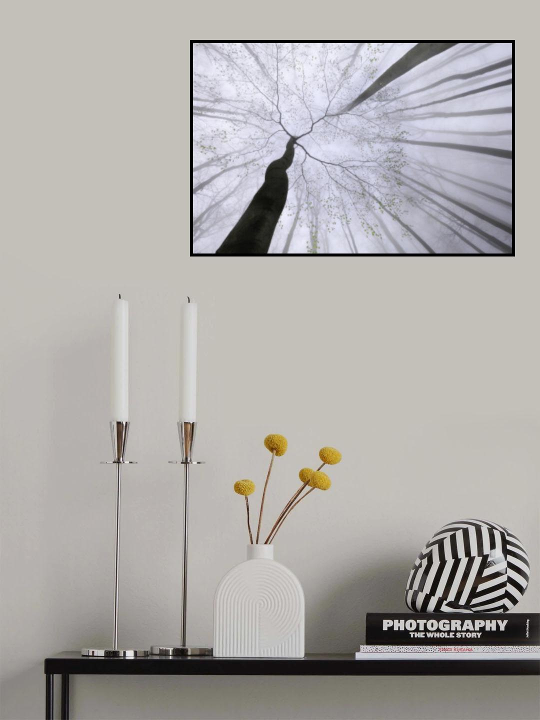 After winter sleep Poster och Canvastavla