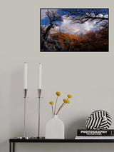 Picture in the frame Poster och Canvastavla