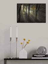Sunbeam Poster och Canvastavla