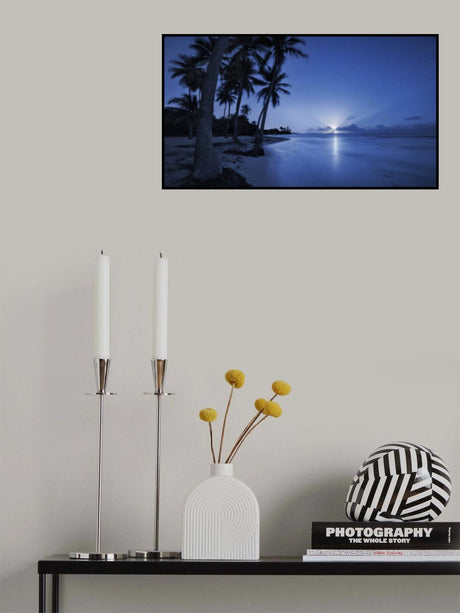 Tropical Moonrise Poster och Canvastavla