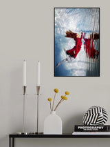 RED Fly XI Poster och Canvastavla