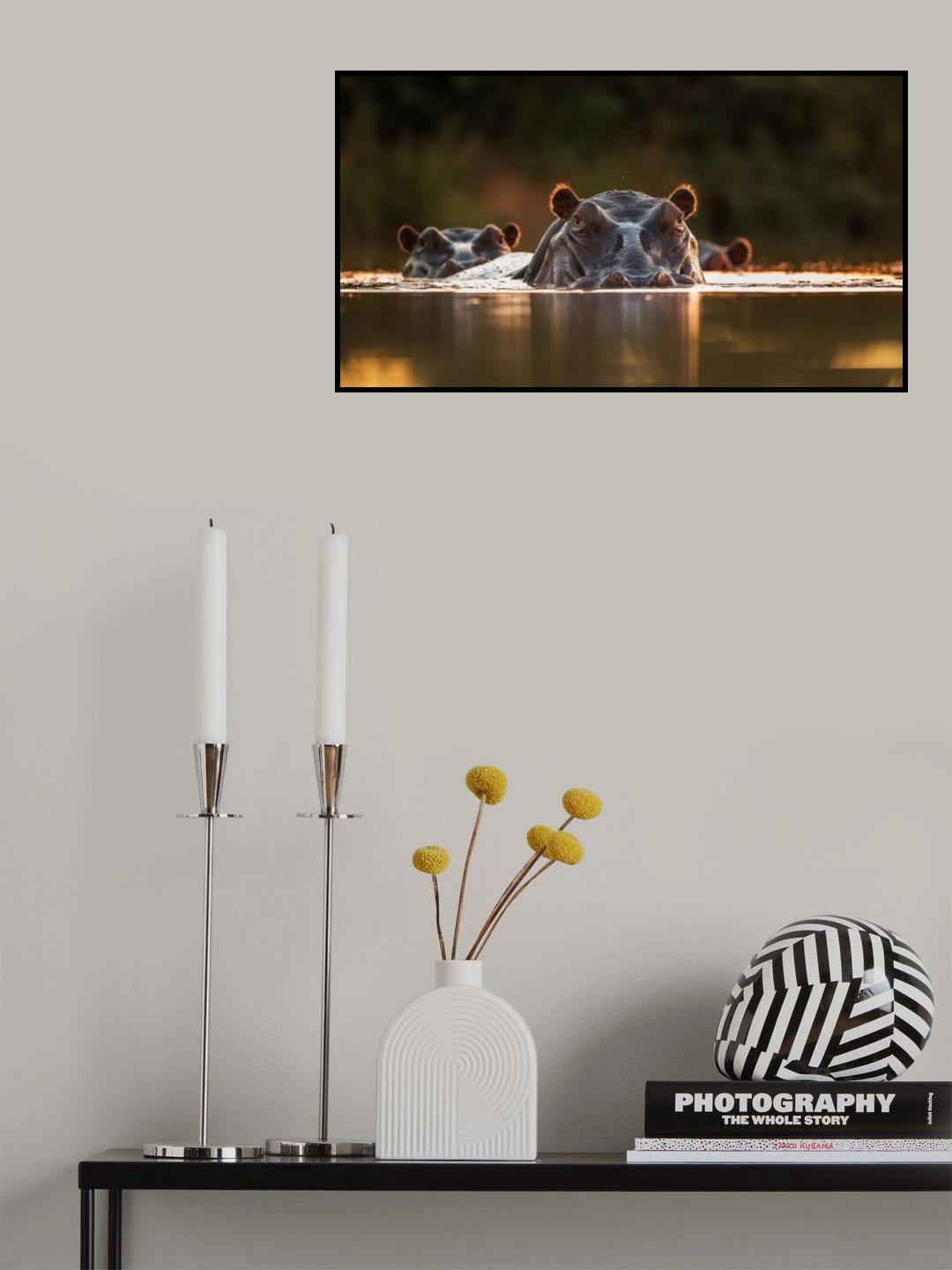 Sunset Pool Poster och Canvastavla