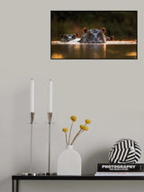 Sunset Pool Poster och Canvastavla