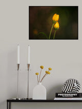 Together Poster och Canvastavla