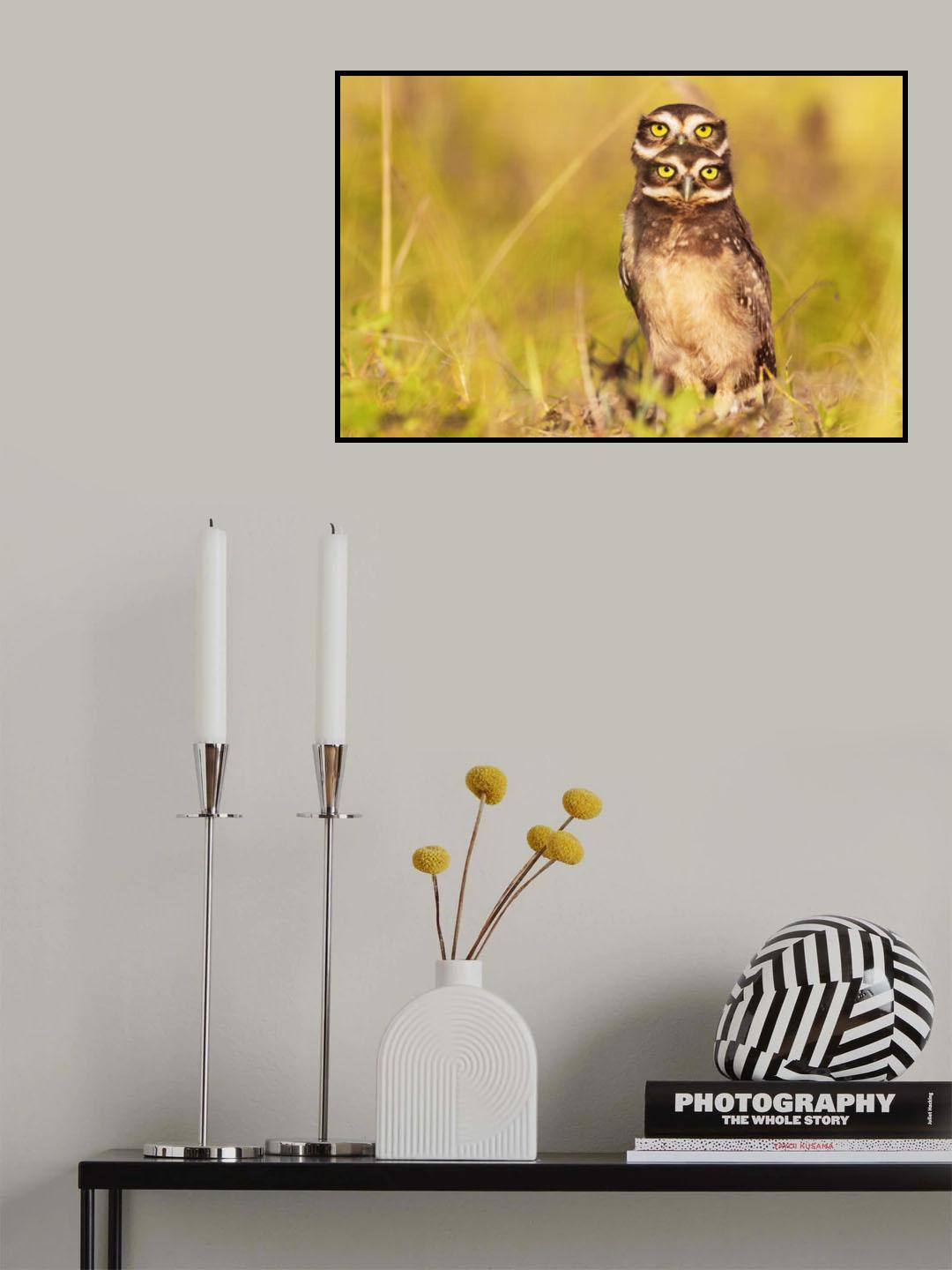 4 eyes! Poster och Canvastavla