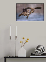 It's my fish..... Poster och Canvastavla