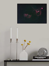Heart Nebula and Fetal Nebula Poster och Canvastavla