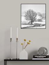 Observer of passing time Poster och Canvastavla