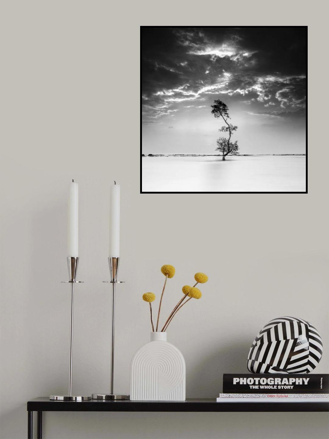 STRIVE Poster och Canvastavla