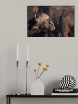 The passenger Poster och Canvastavla
