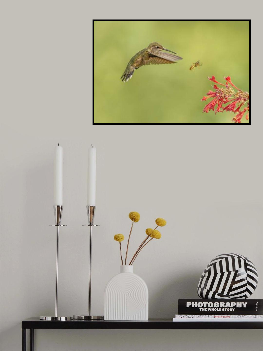 They all like hummingbird mint Poster och Canvastavla
