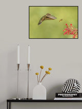 They all like hummingbird mint Poster och Canvastavla