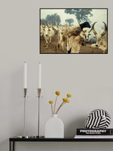 Boy from Mundari,Sudanese Poster och Canvastavla