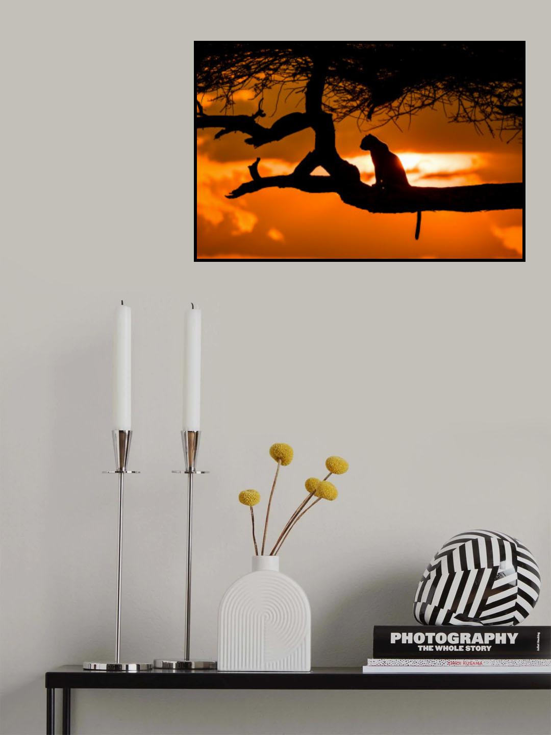Sunset cheetah silhouette Poster och Canvastavla