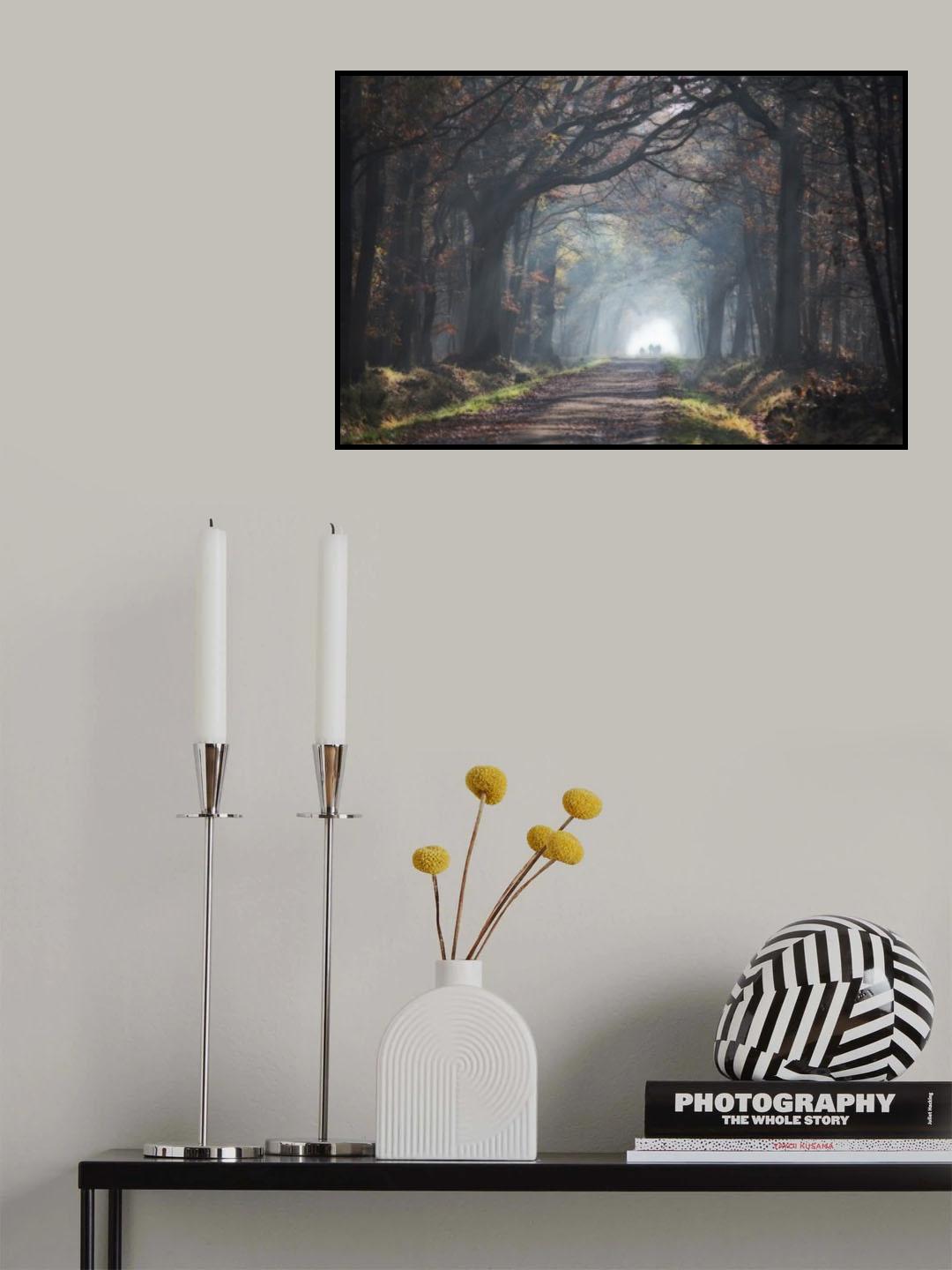 automne forest Poster och Canvastavla