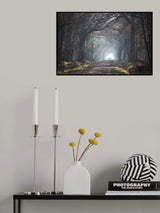 automne forest Poster och Canvastavla