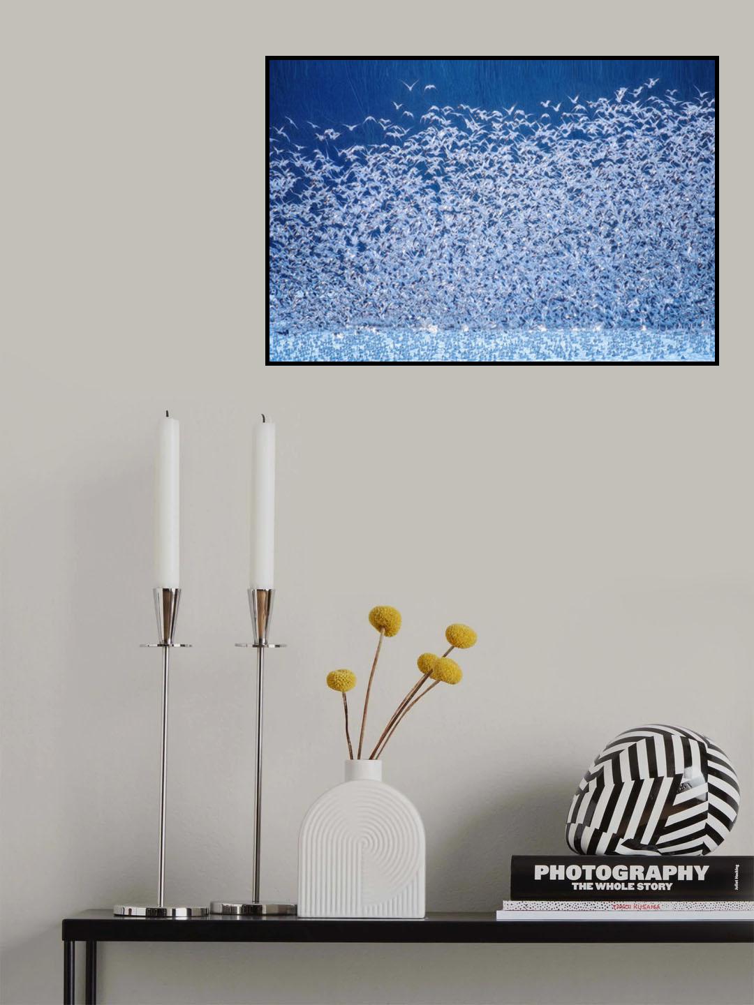 Snow Geese Migration Poster och Canvastavla