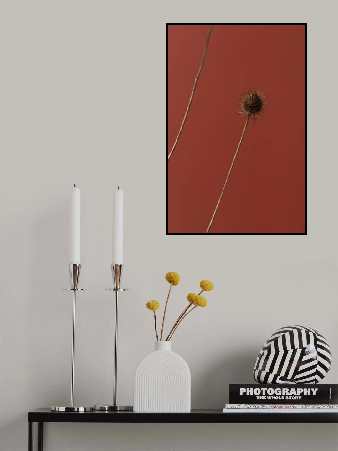 Thistle Rust Red 03 Poster och Canvastavla