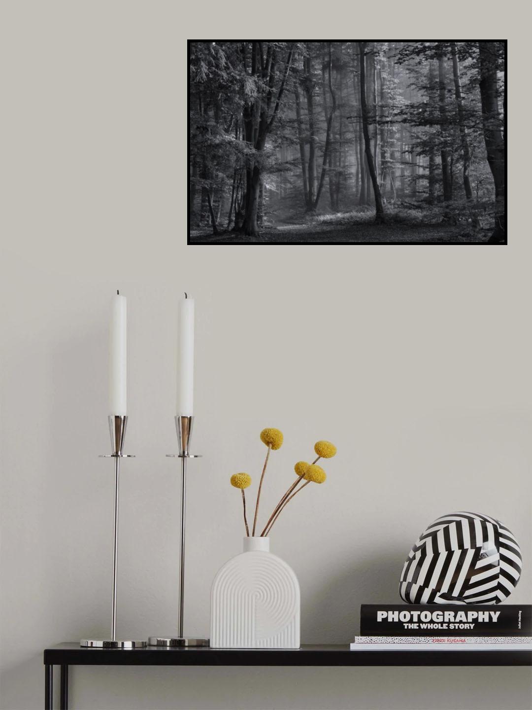 Early Morning Walk Poster och Canvastavla
